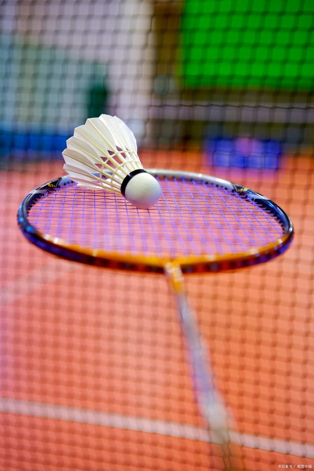 阵型和人员 阵型和人员