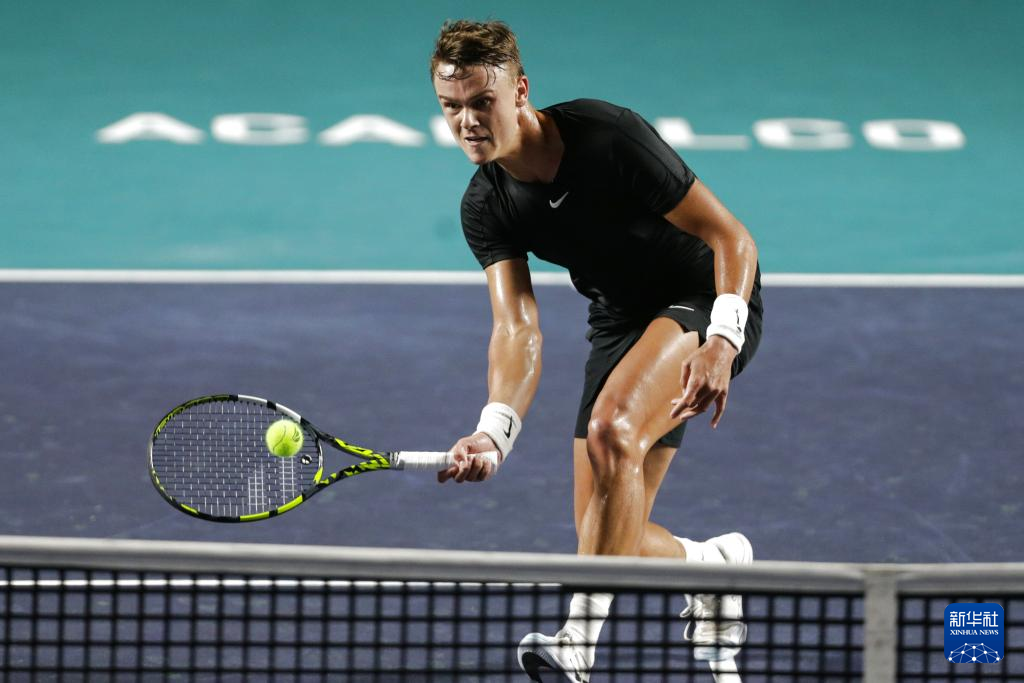 以为整个球 以为整个球