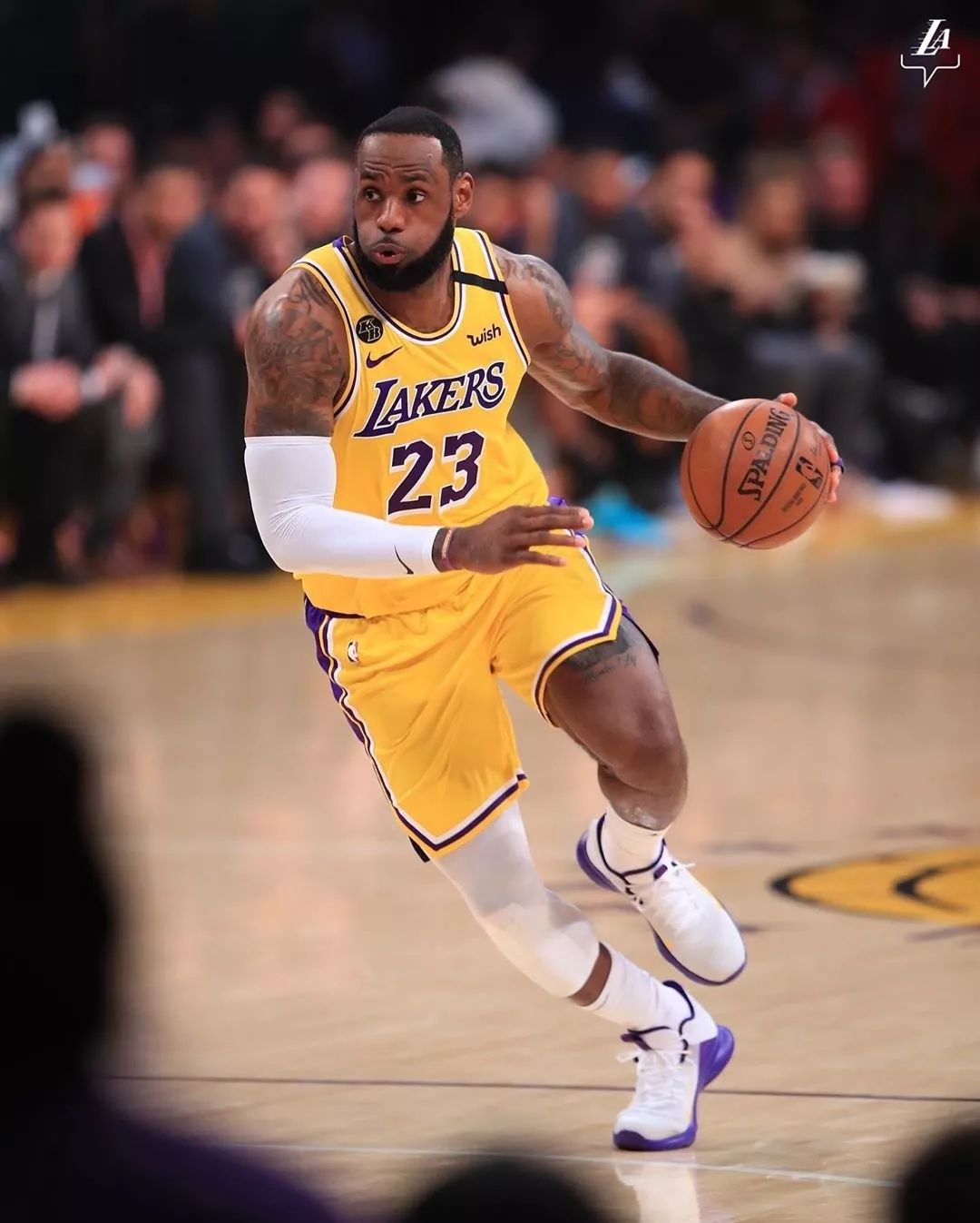 什么信号 什么信号